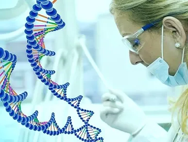 DNA