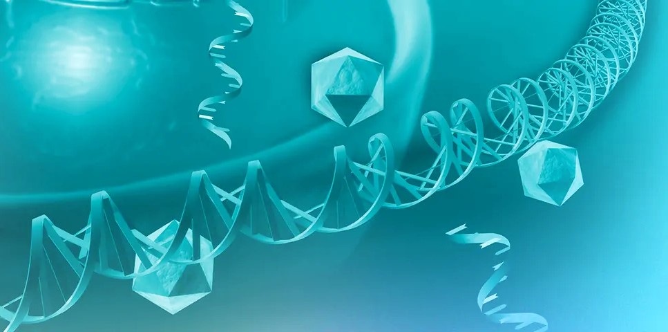 Reverse Aging Technology