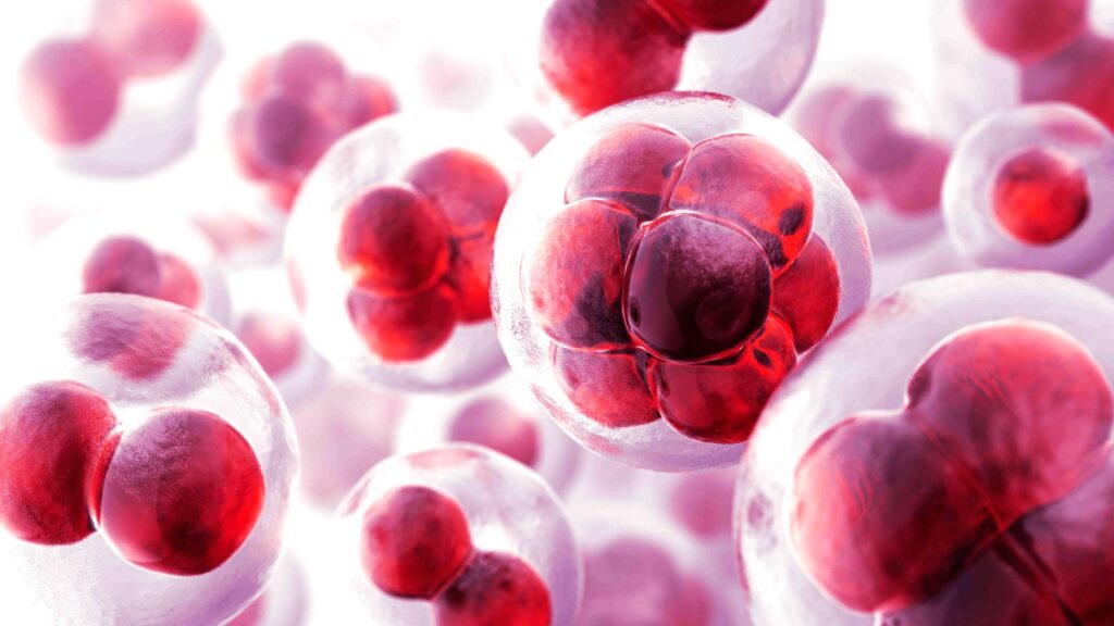 Epigenetics