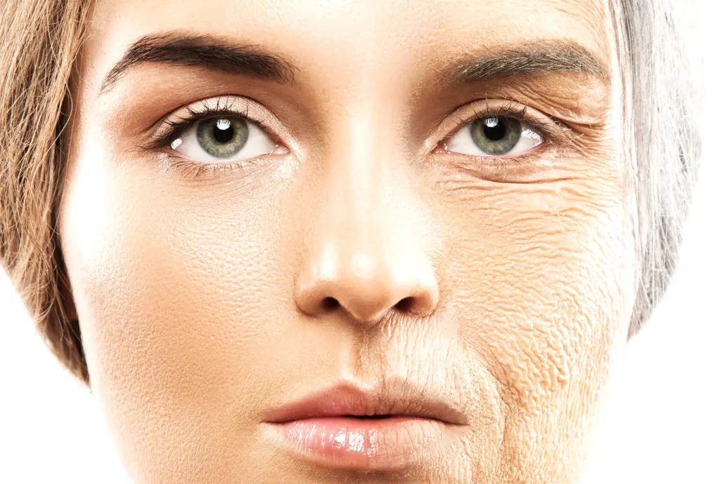 Reverse Aging