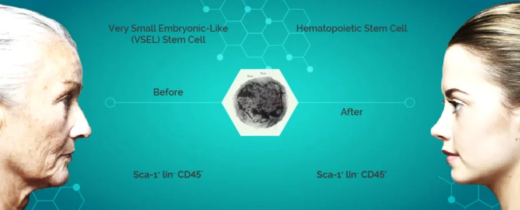 Stem Cell Reverse Aging