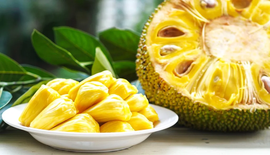 Jackfruit